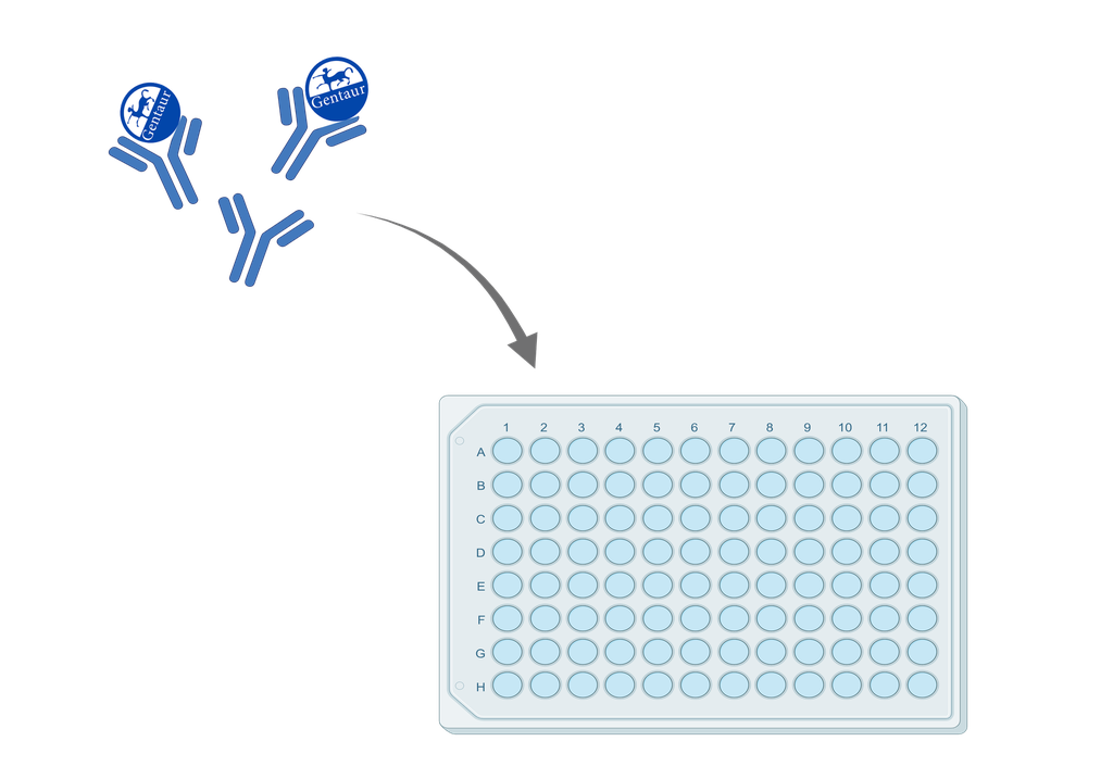 ELISA   ACRV1 anti-