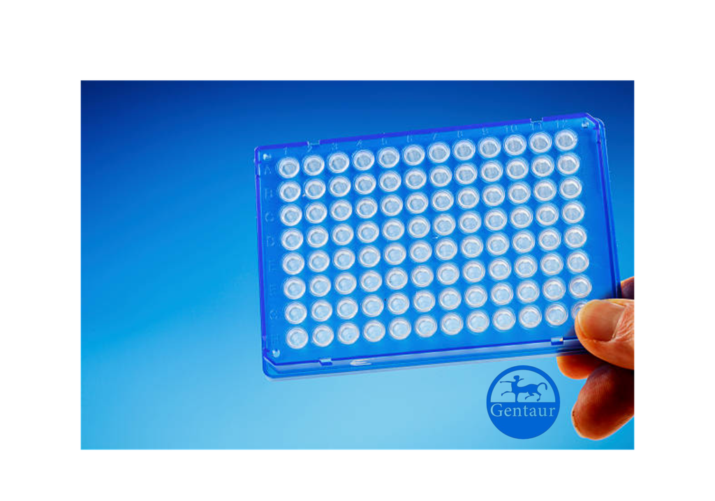 ELISA  Acss2 Antibody, FITC  