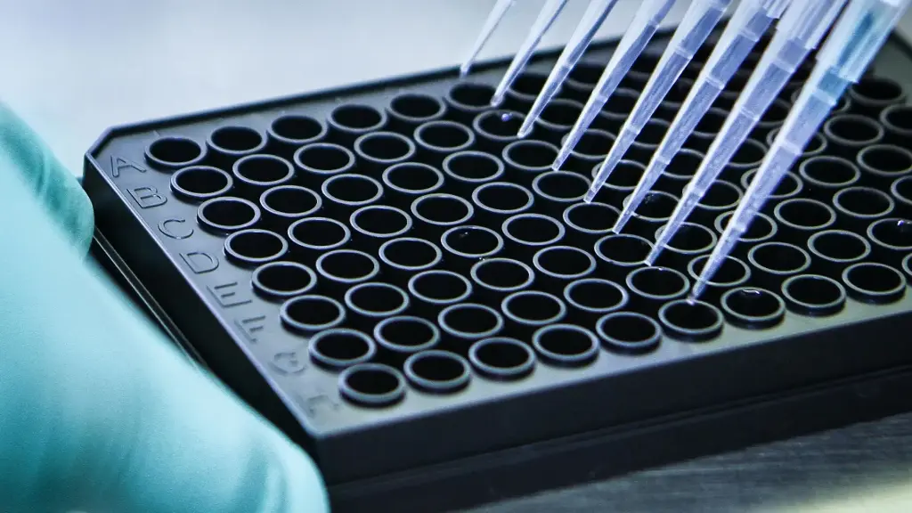 Human DHT Kit: High Sensitivity Dihydrotestosterone ELISA Detection - 96 Tests
