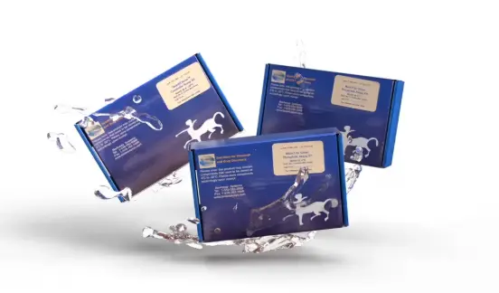 ELISA Kit for Nicotinamide Adenine Dinucleotide (NAD) - 5x96T