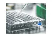 ELISA  AMPK gamma 1 anti-