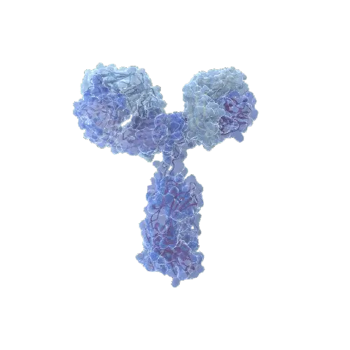 EIF4E(Phospho S209) & EIF4E Protein Phosphorylation Antibody Pair